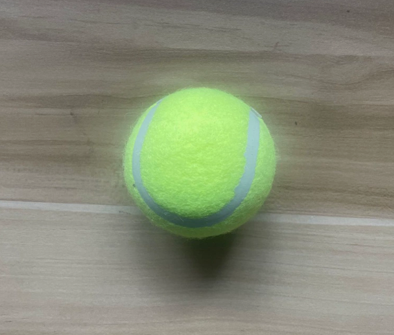 Canine Fetch Trainer Ball Launcher