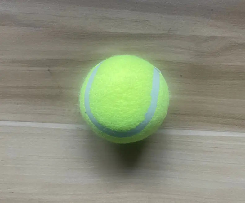 Canine Fetch Trainer Ball Launcher